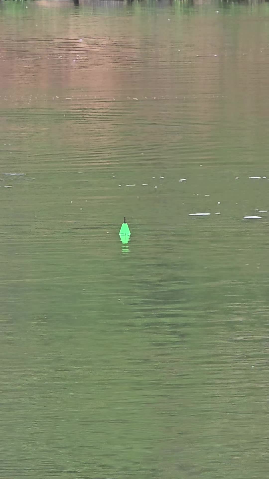 @Brandino Fishing
