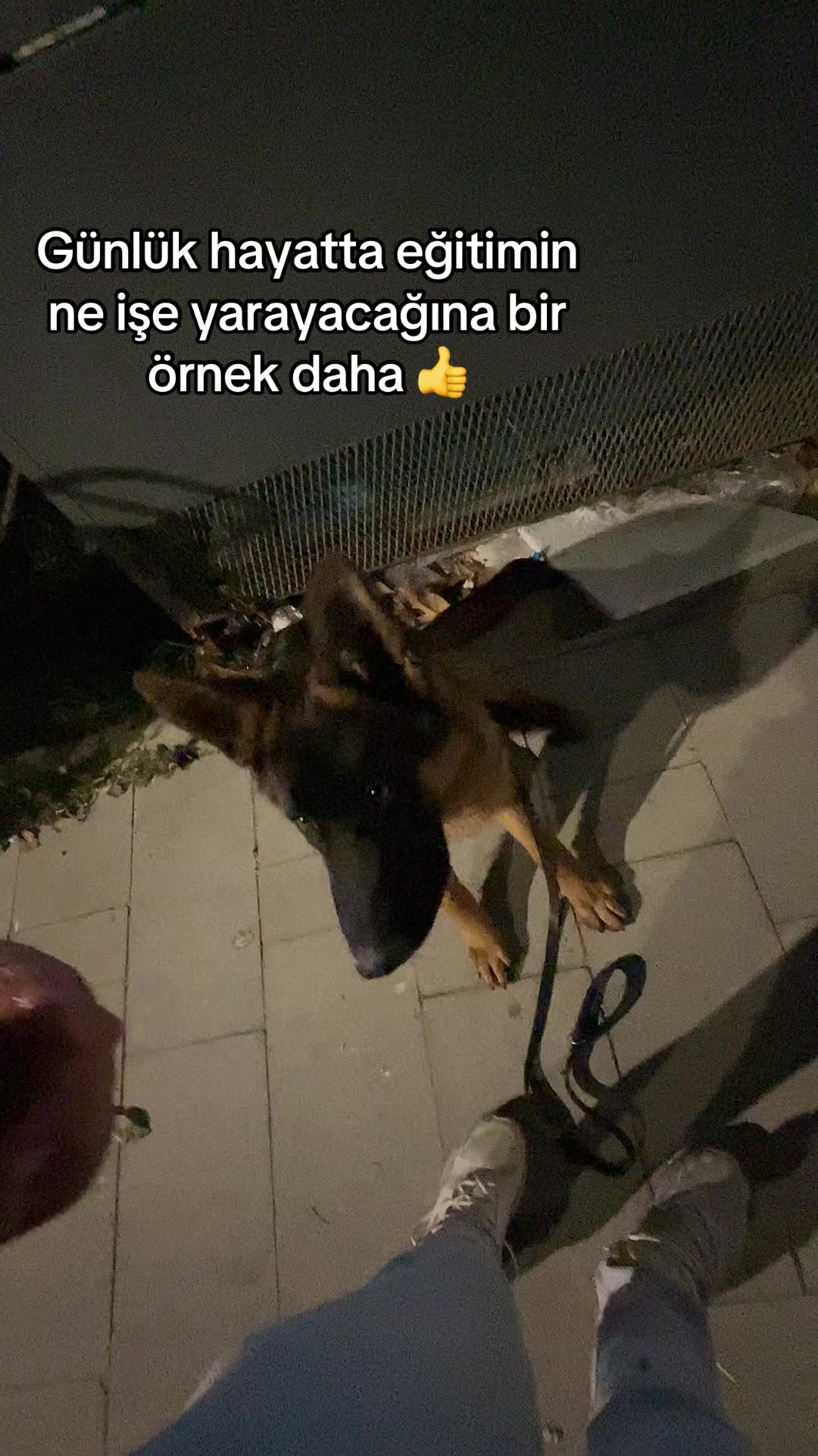 @REX🧿