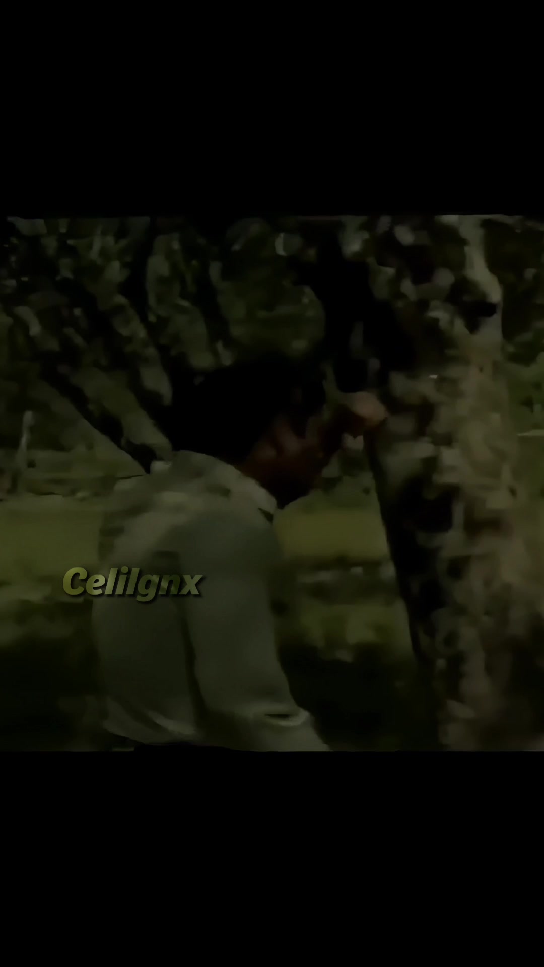 @𝘾𝙚𝙡𝙞𝙡𝙜𝙣𝙭