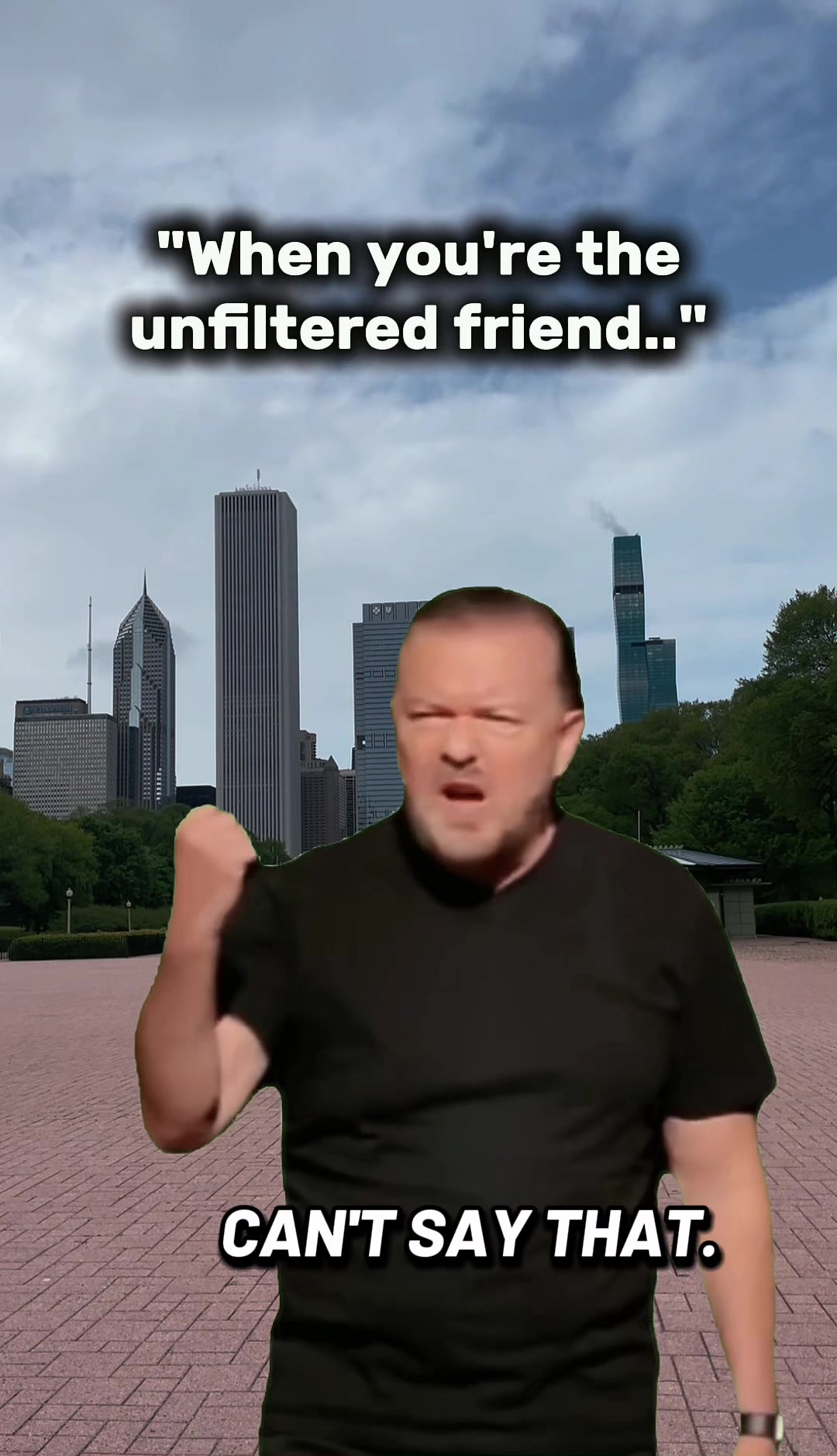@chicagoviews312