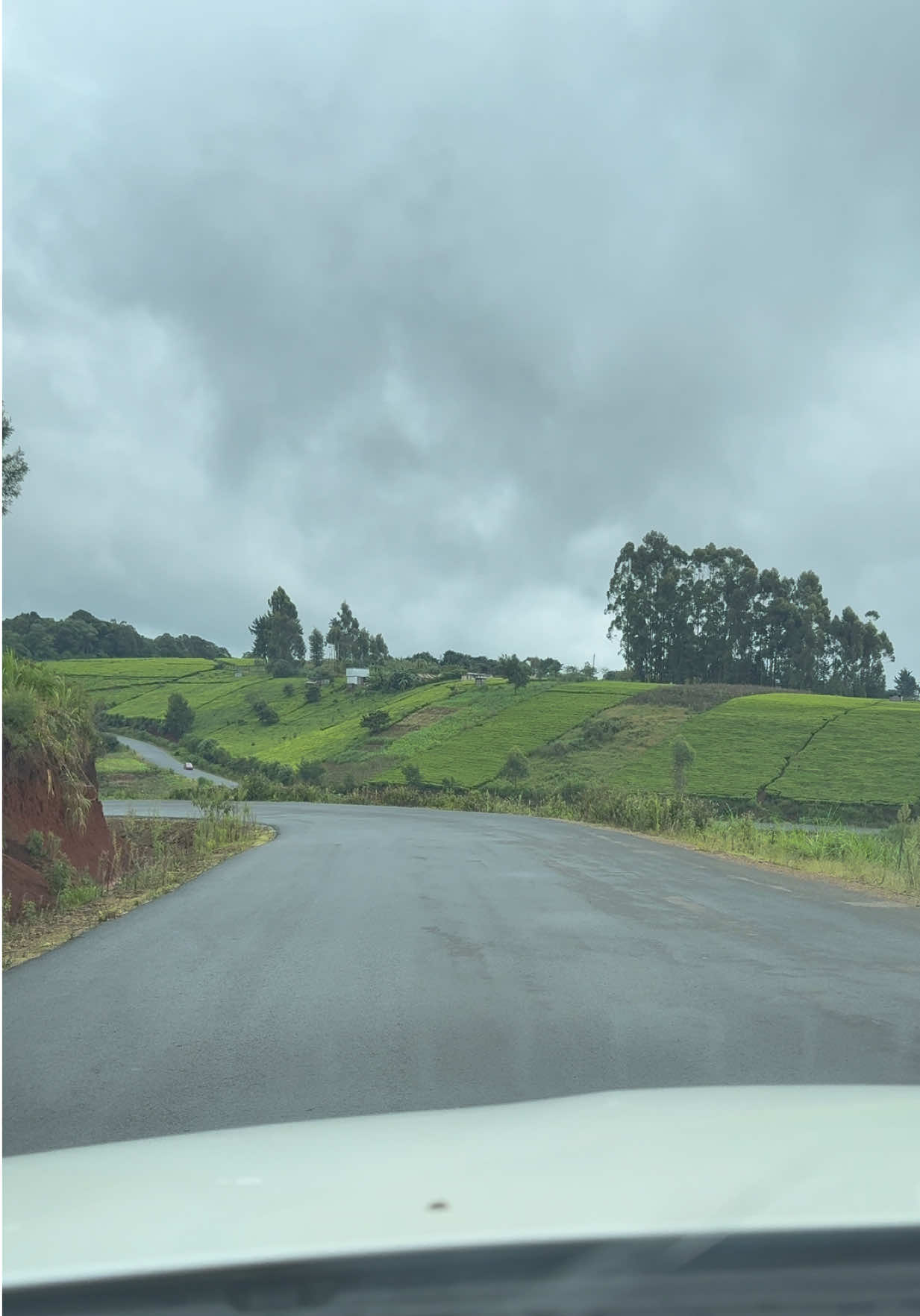 @RoadRecce