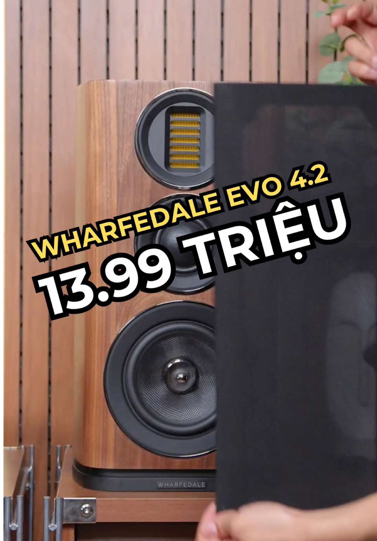 @D&aacute;t V&agrave;ng M&agrave;ng Nhĩ 🎼