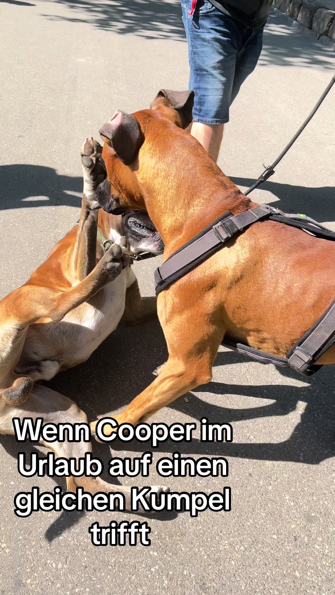 @ostfriesenfrau