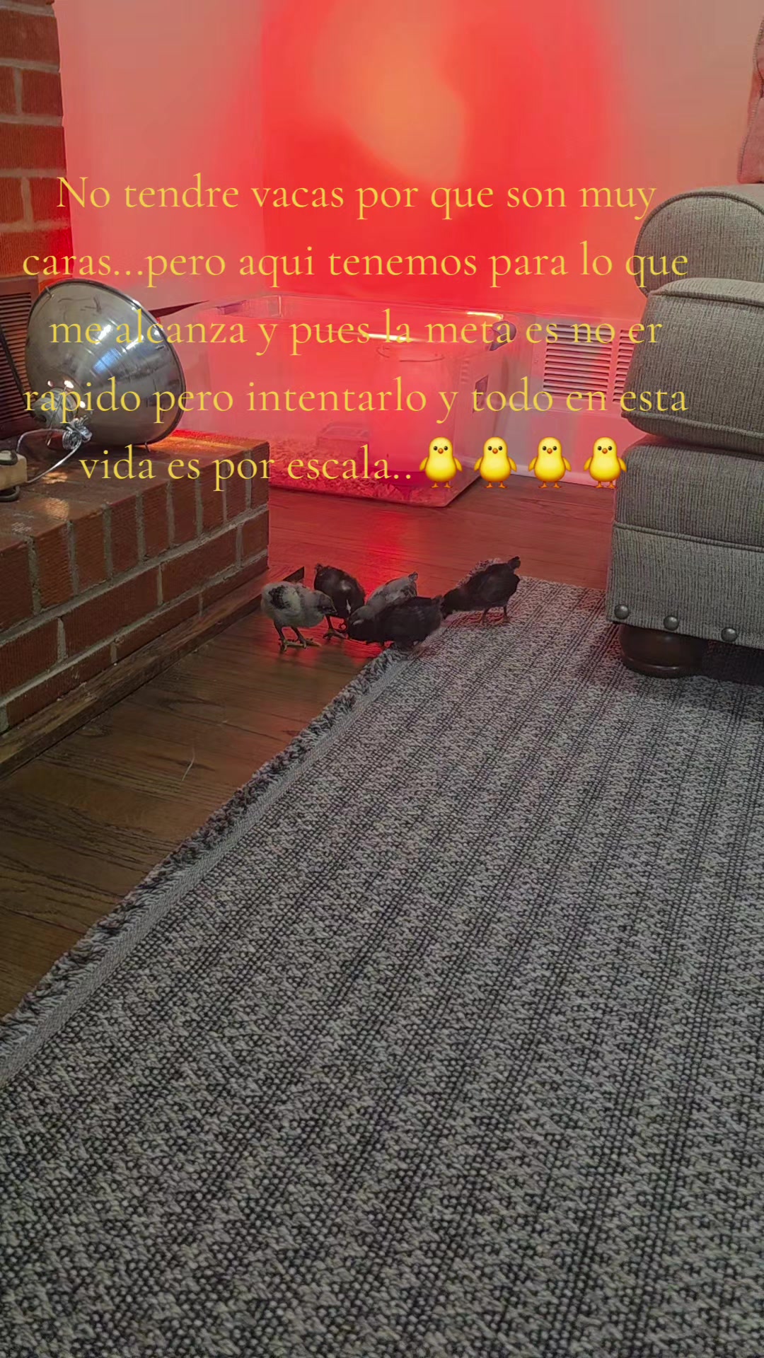 @M19t3n2z🦂