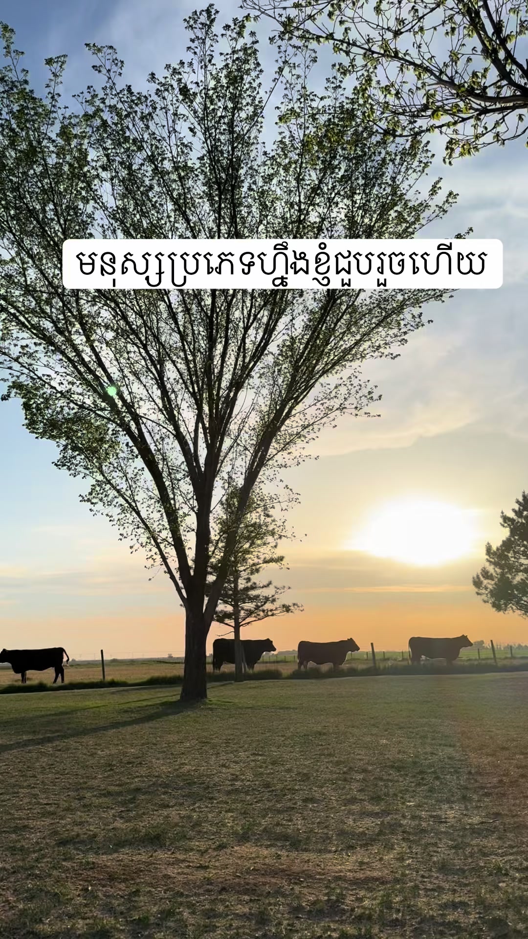 @meyneangsyna8🇰🇭❤️🇨🇦