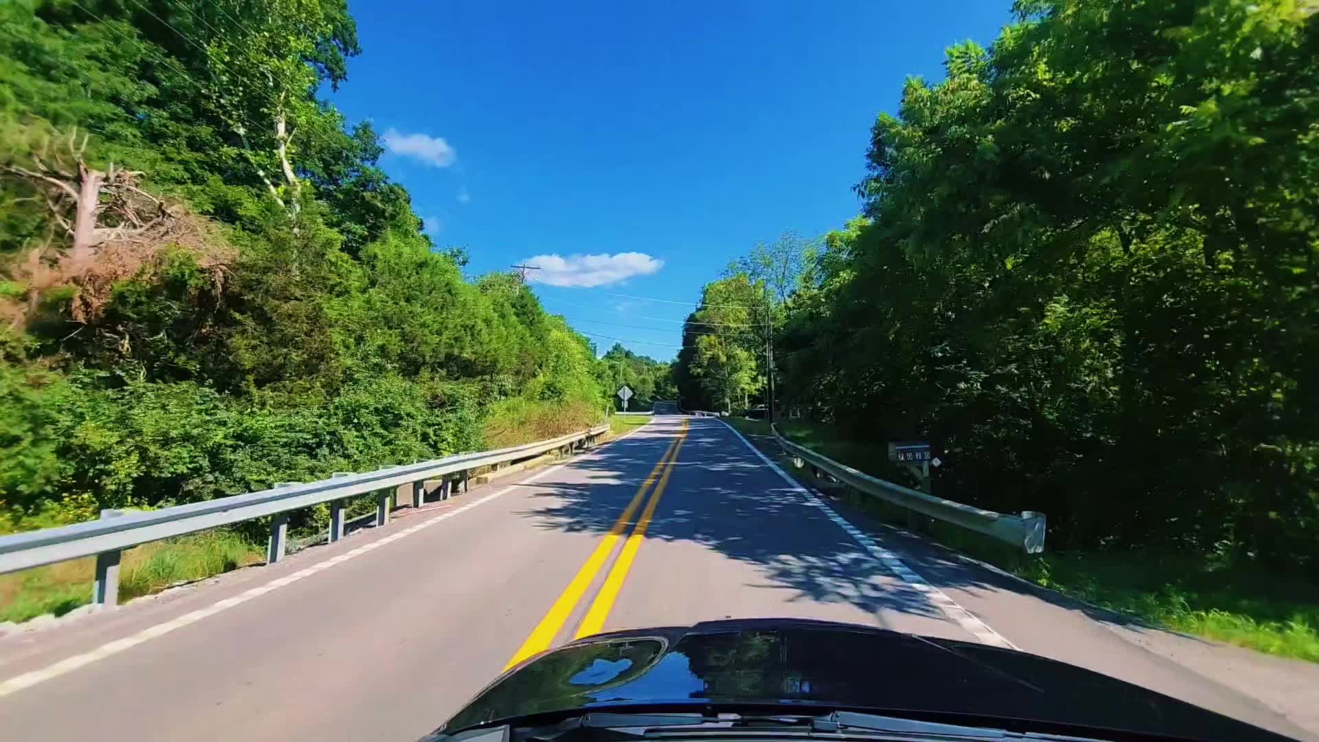 @Forte 🌳🌲🌴 ⛰️