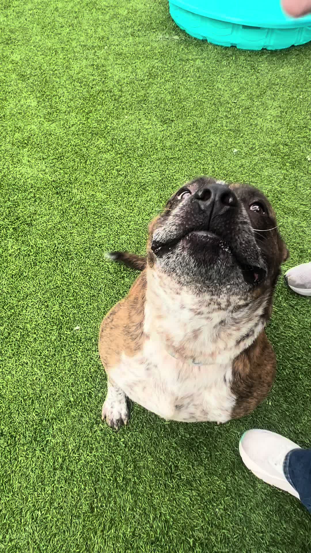 @Vanderburgh Humane Society