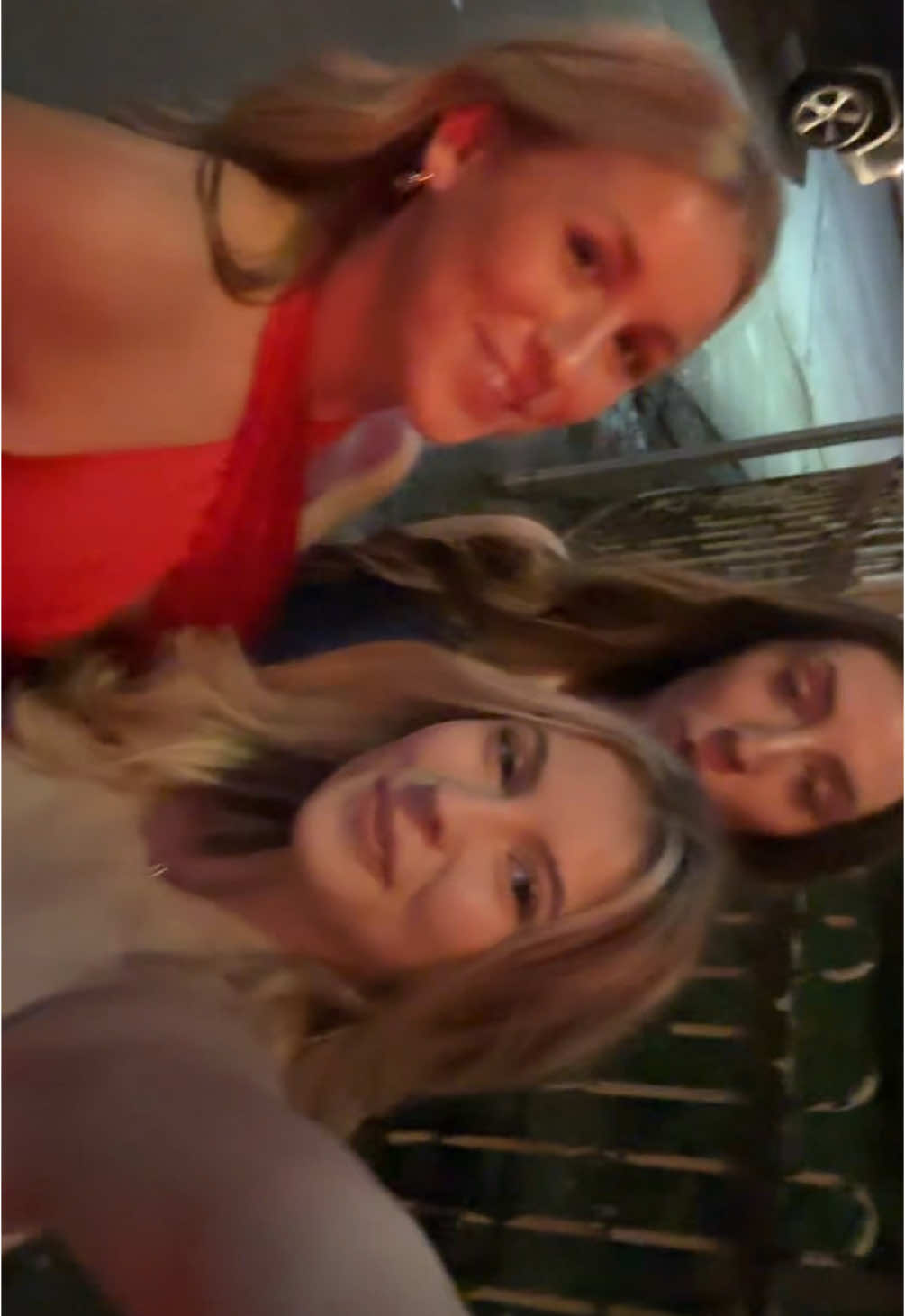 @bunny