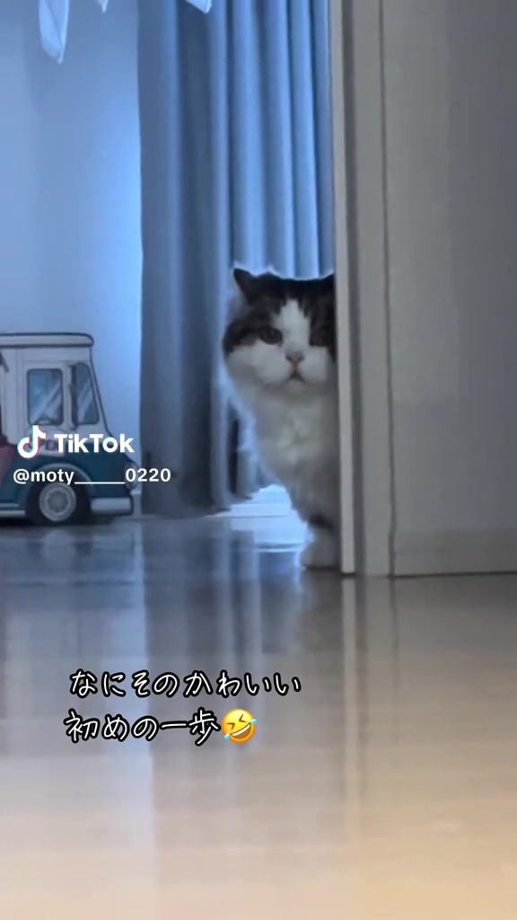 @とも
