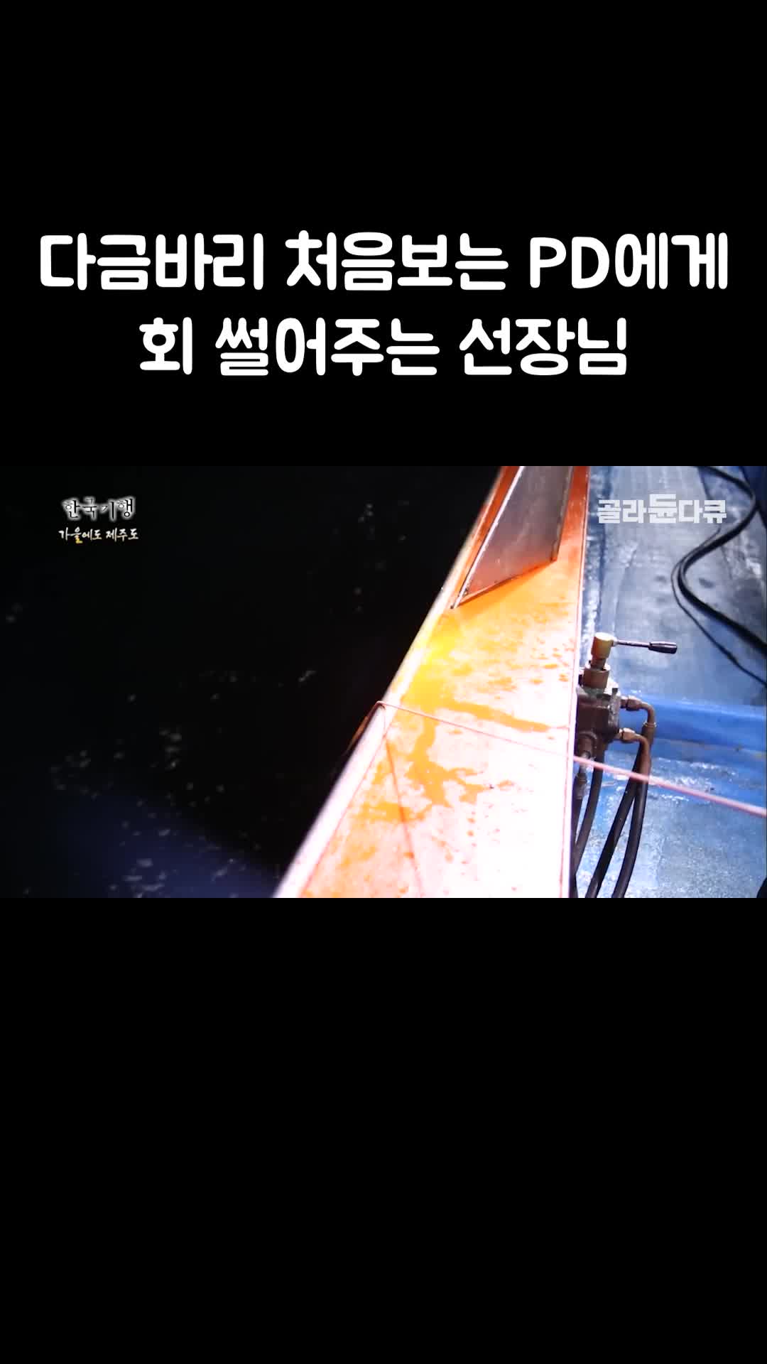 @EBS 다큐