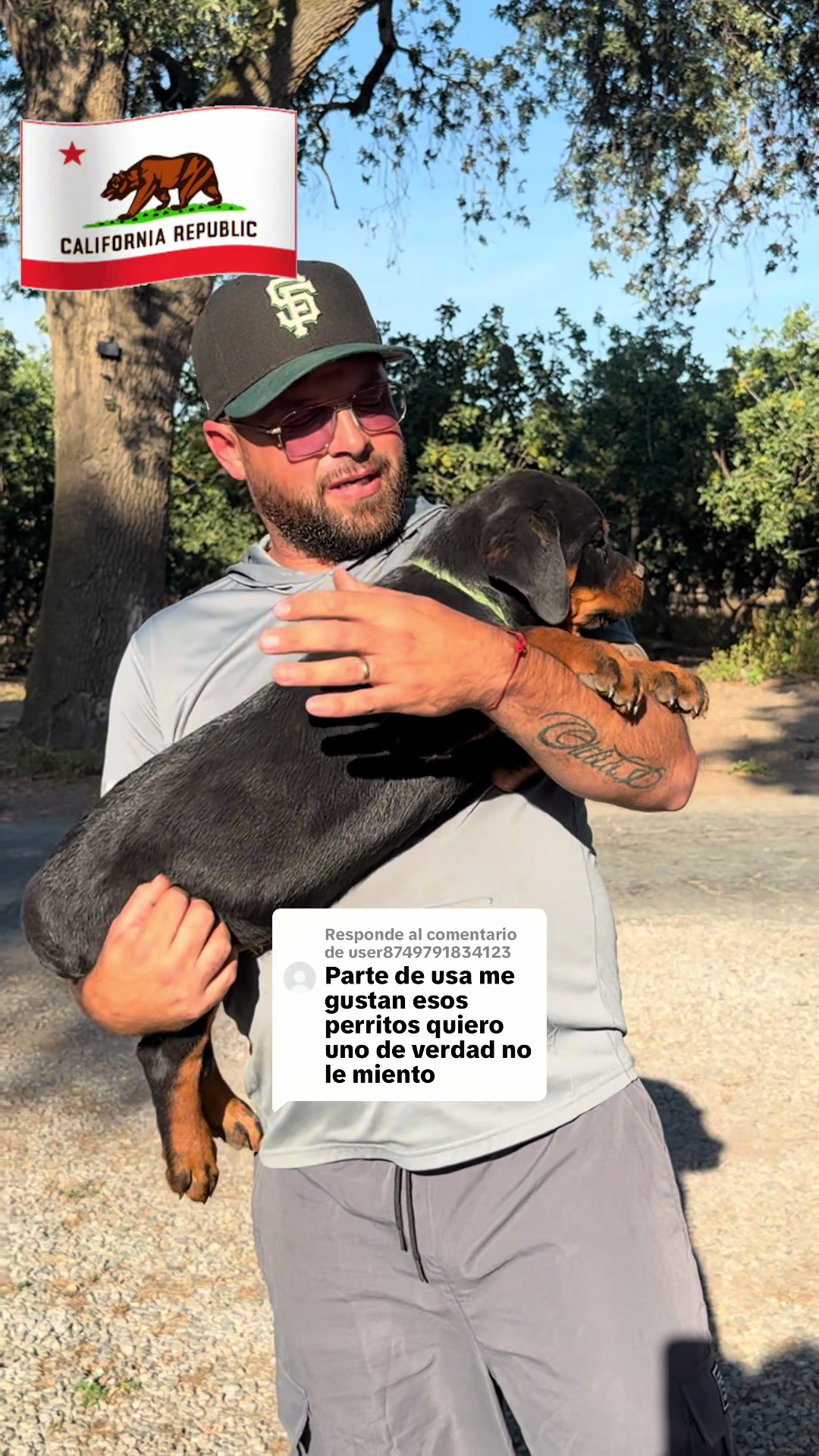 @✨VON DER MU&Ntilde;OZ ROTT&rsquo;S✨