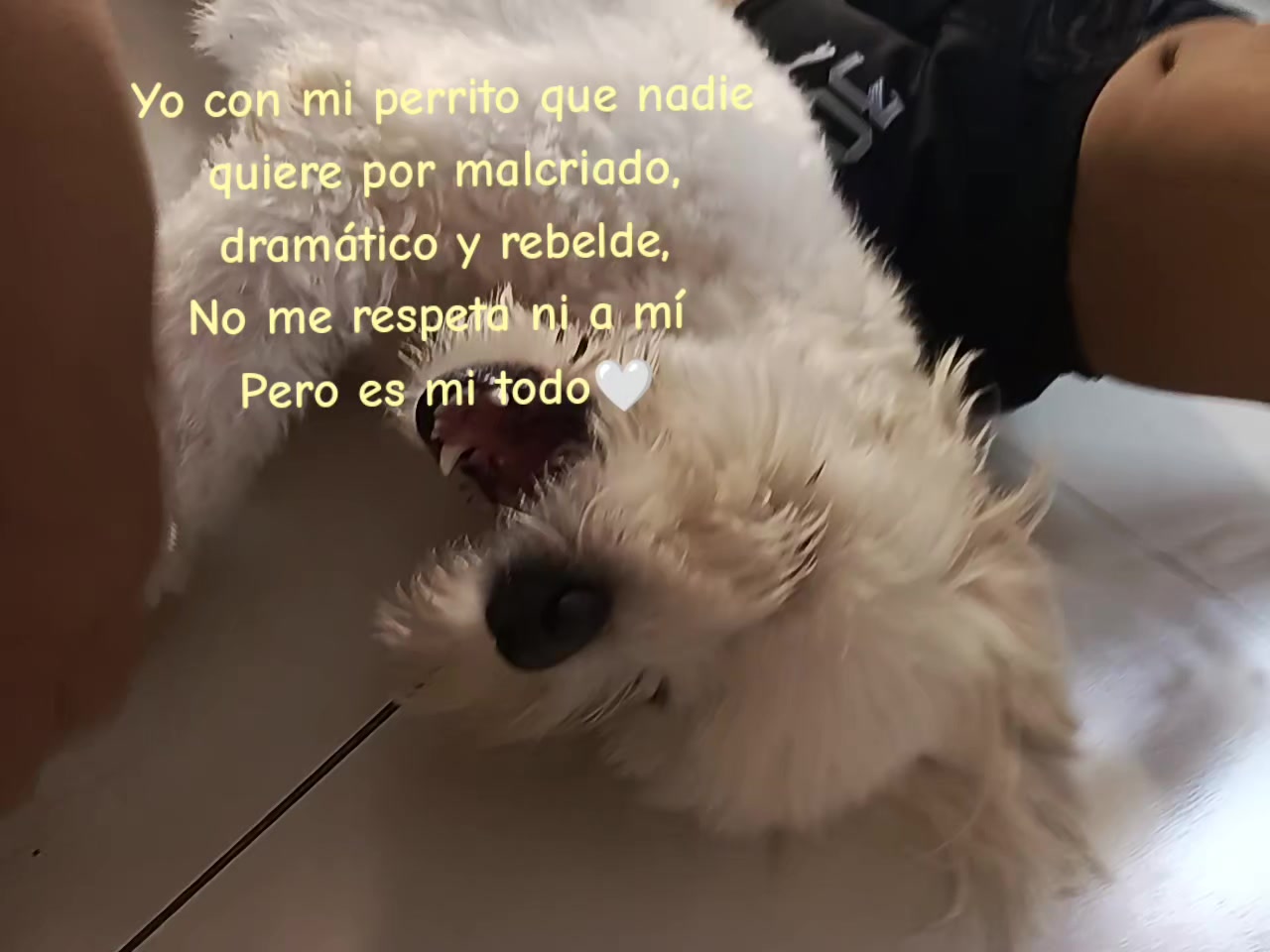 @𝓜𝓪𝔂𝓽𝓮🦦!