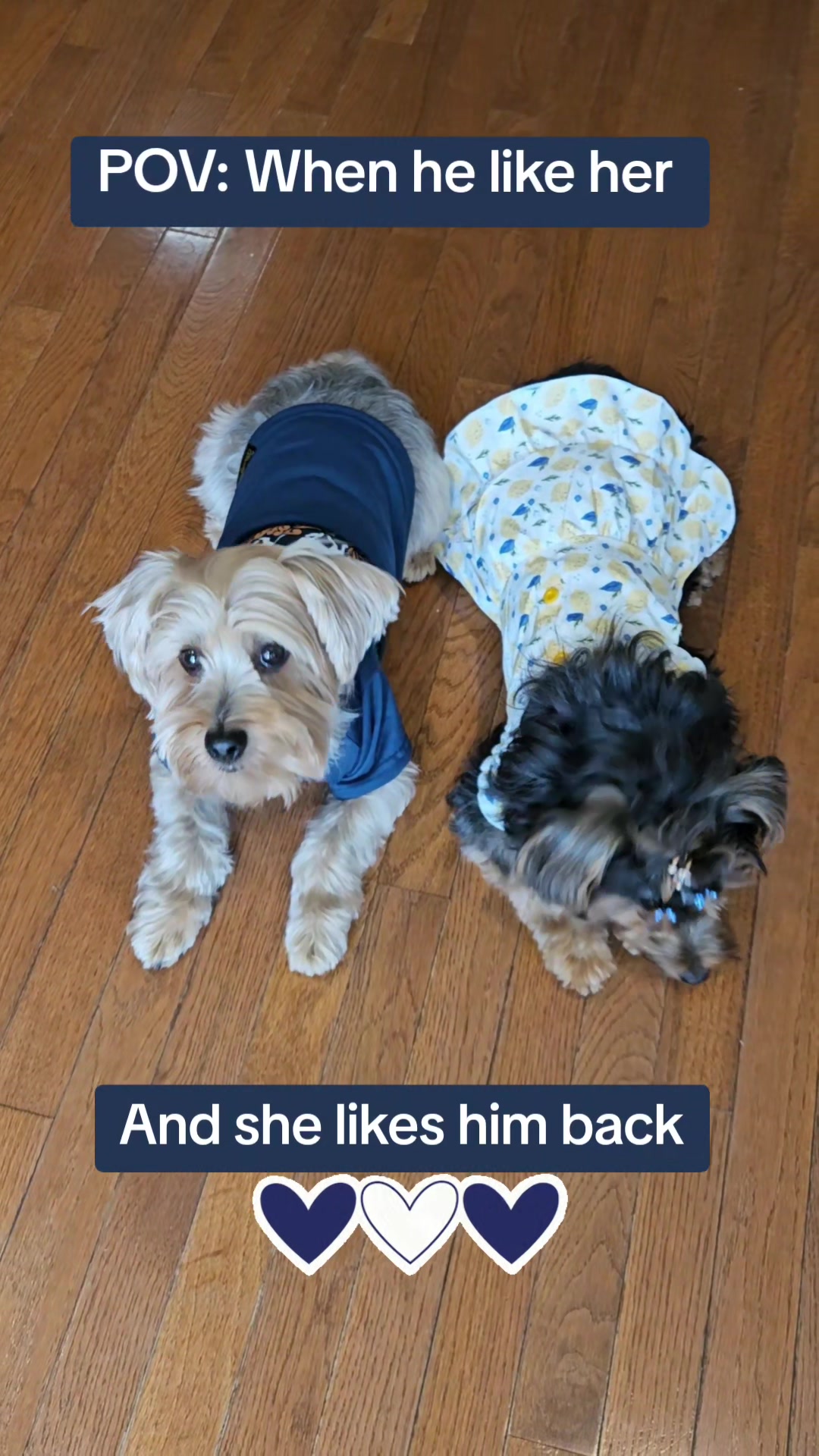 @Prince Loves CoCo