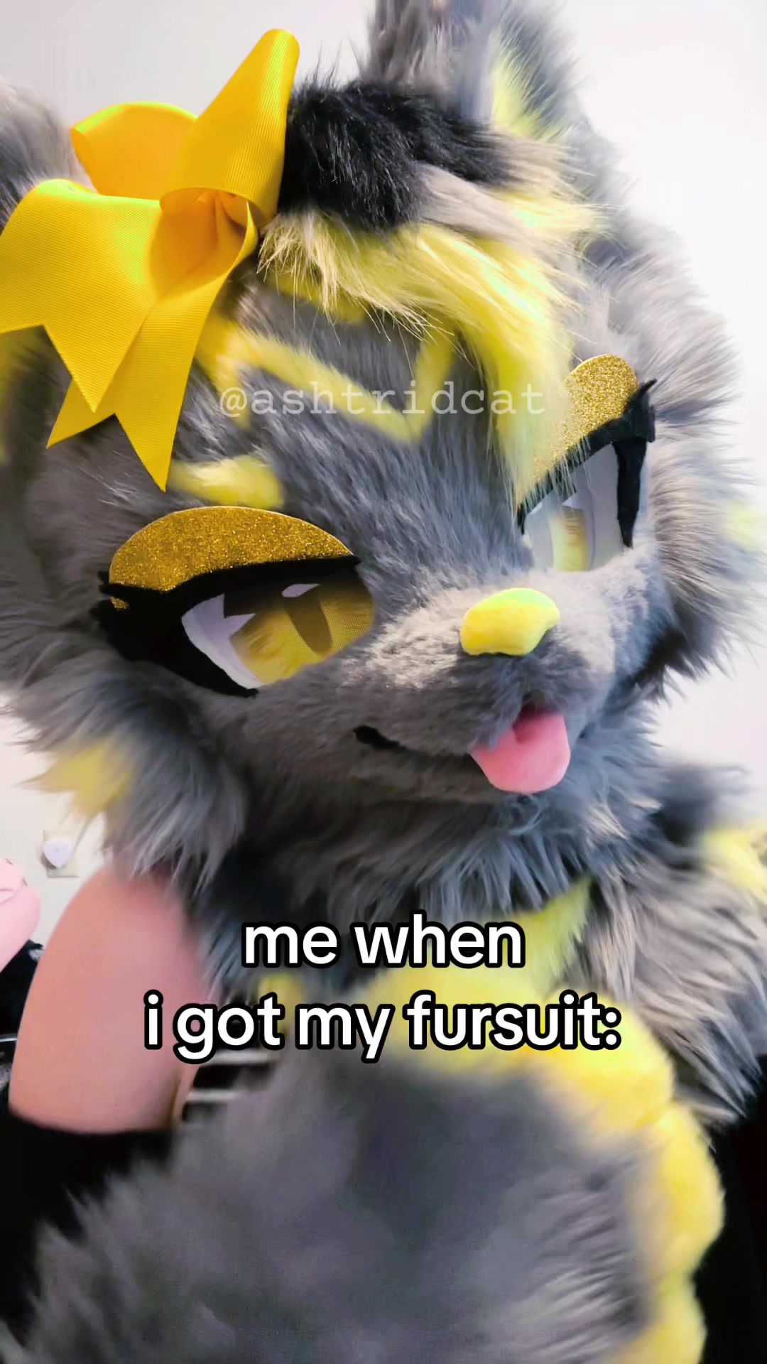 @AshtridCat
