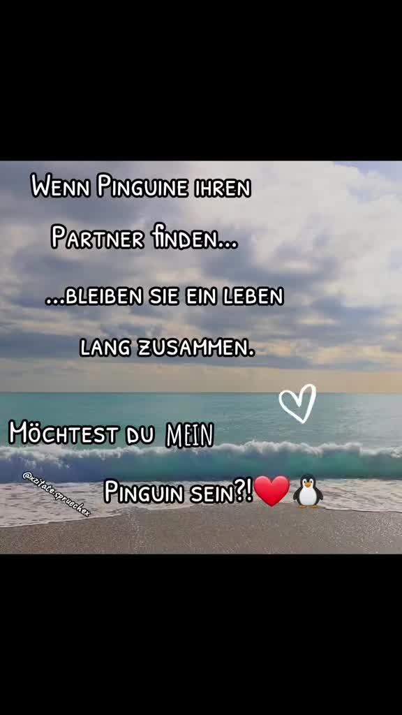 @Schnute-Zitate.spruechex