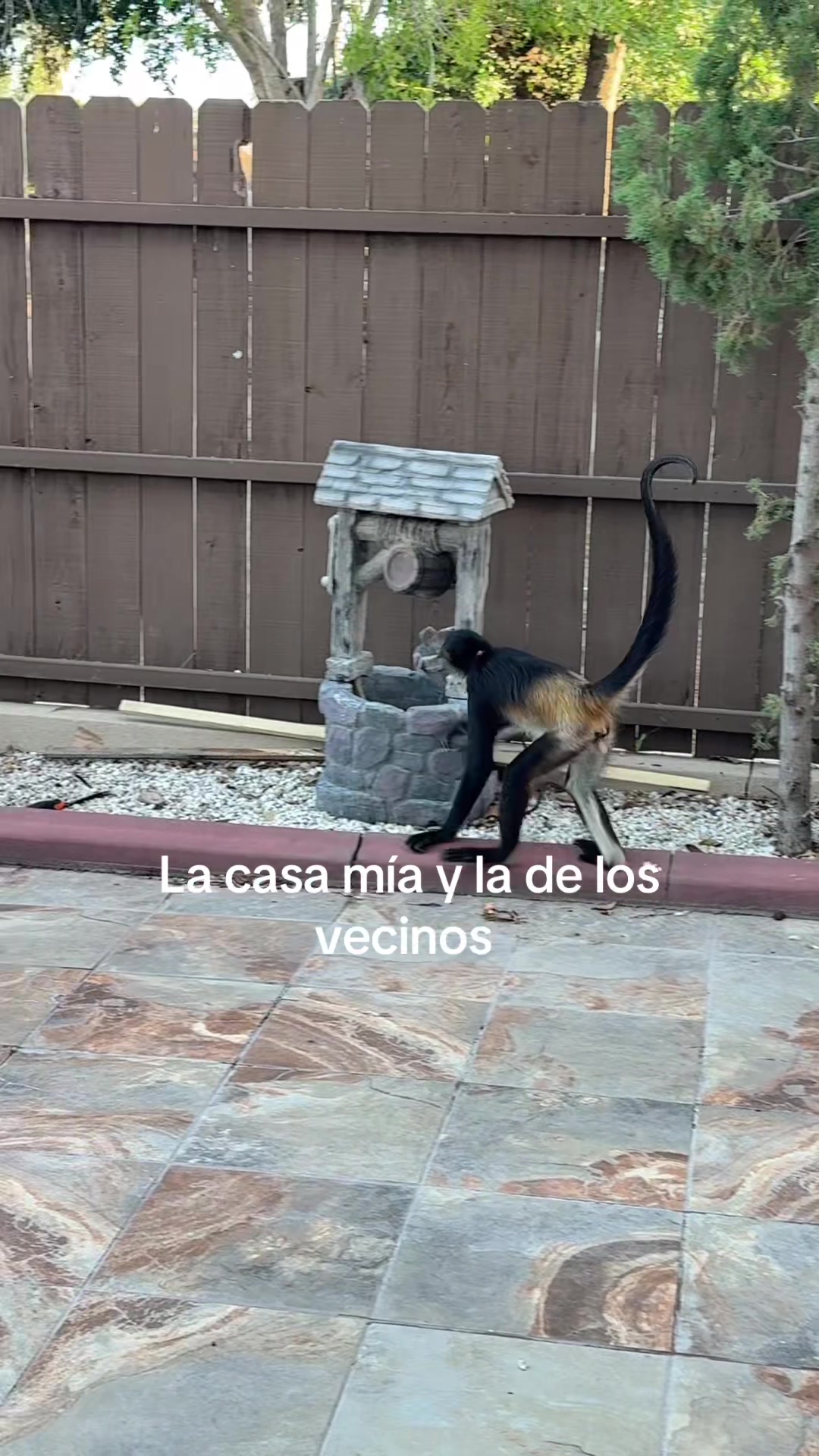 @Lorena Alvarez