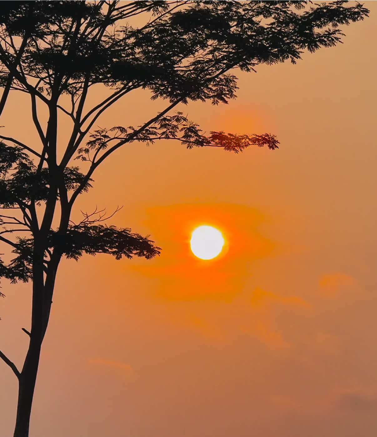 @প্রকৃতি 🍃