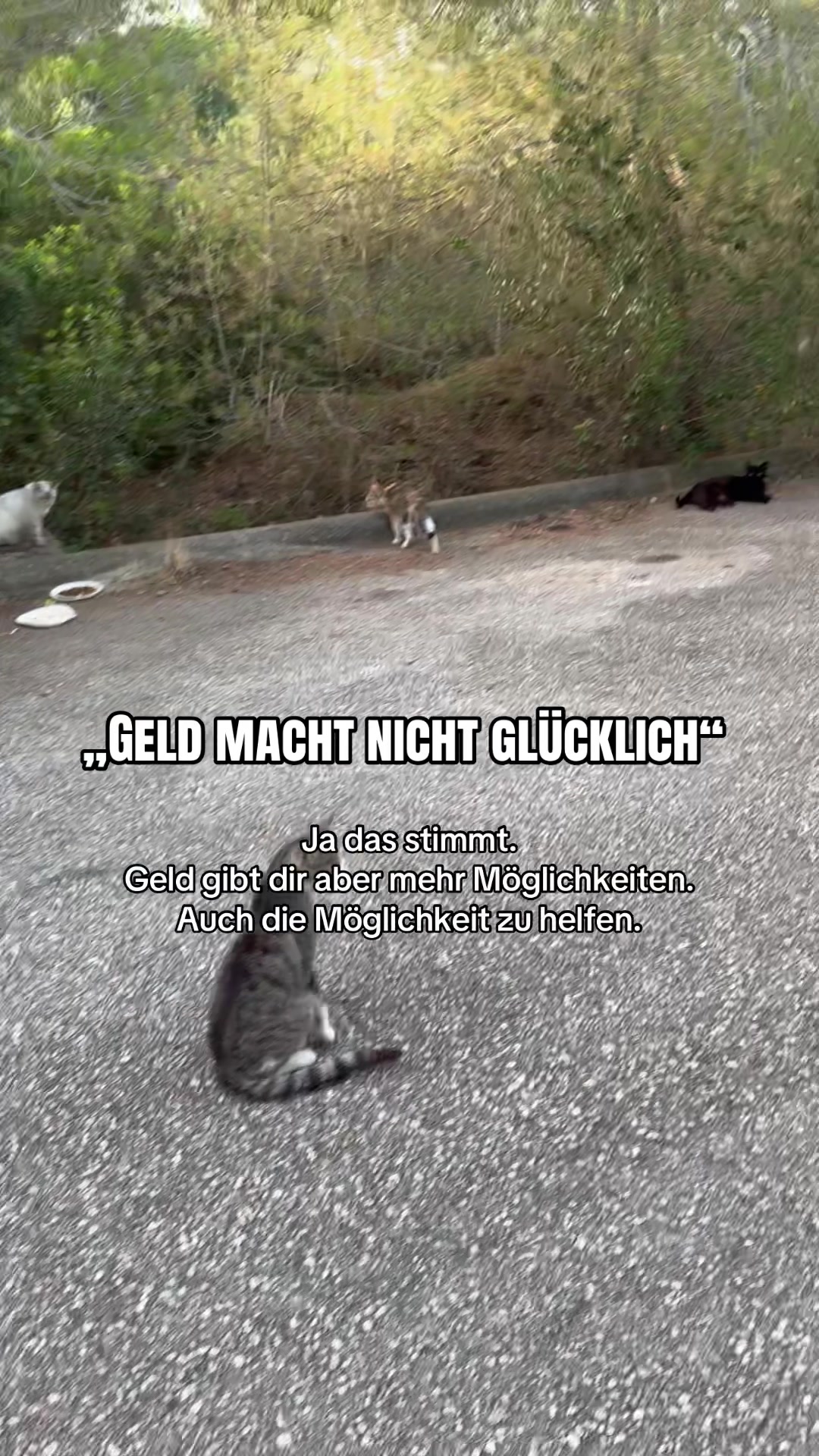 @Anne Wünsche