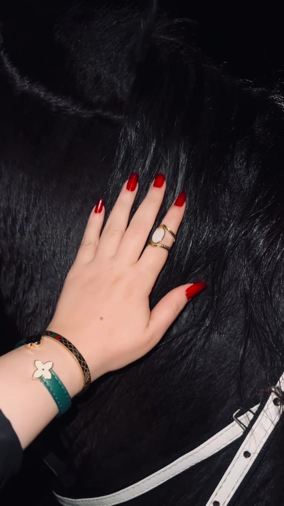 @dinaelamir86