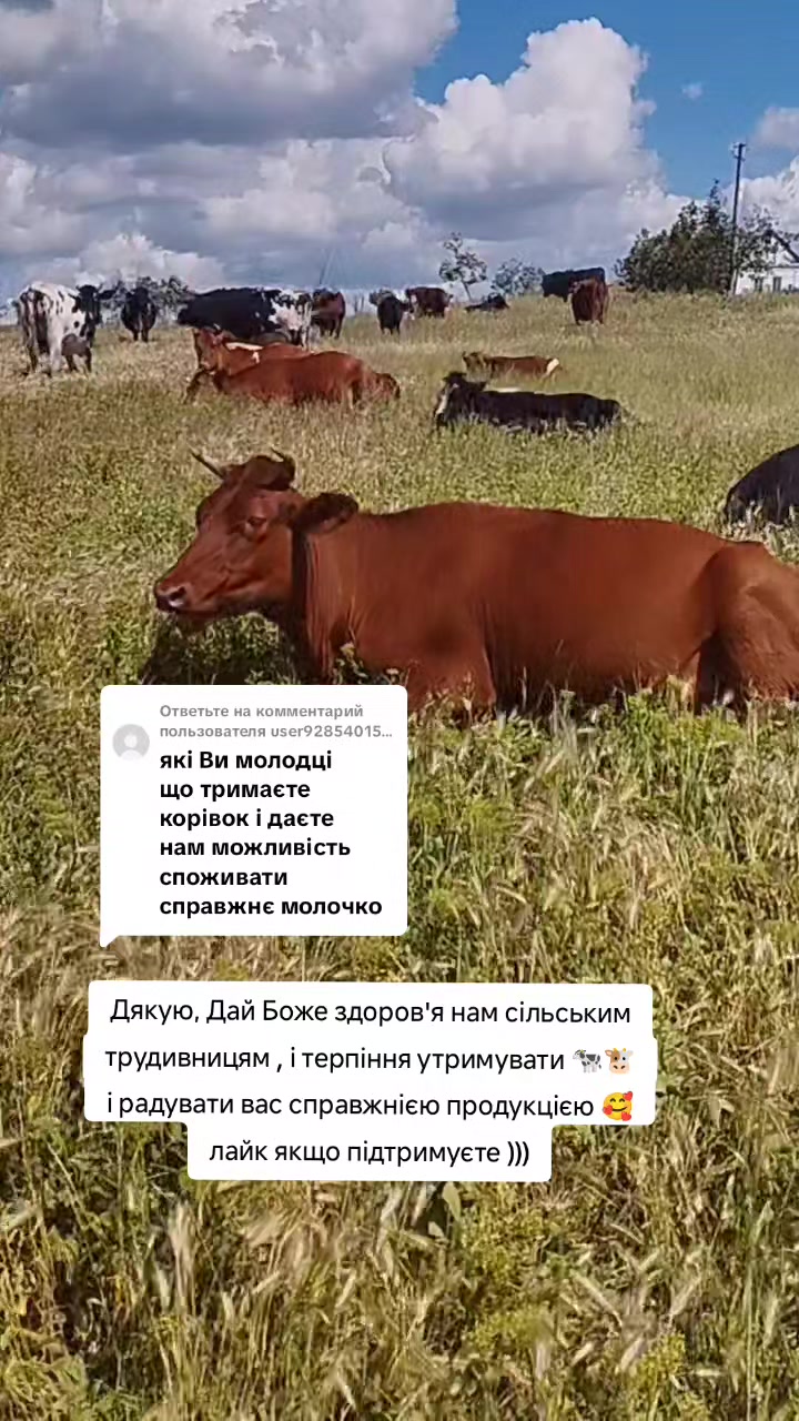 @Марченко Наталья