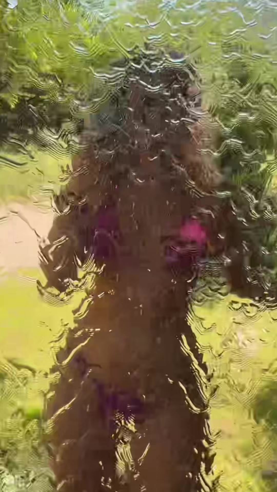 @leonie.maria333