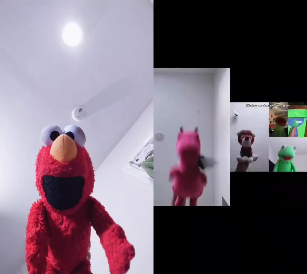 @Kermit The Frog Tiktok
