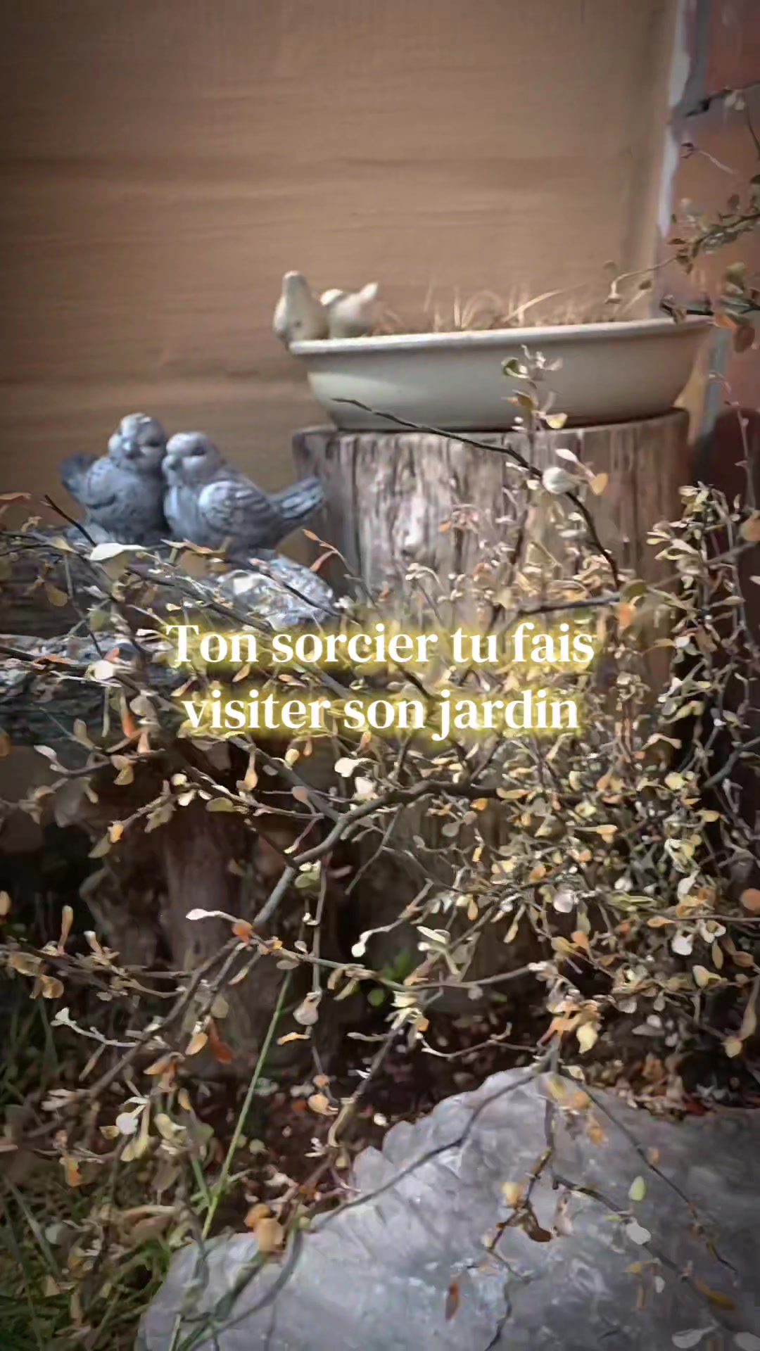 @𝔻𝕚𝕕𝕚 𝕝𝕖 𝕤𝕠𝕣𝕔𝕚𝕖𝕣