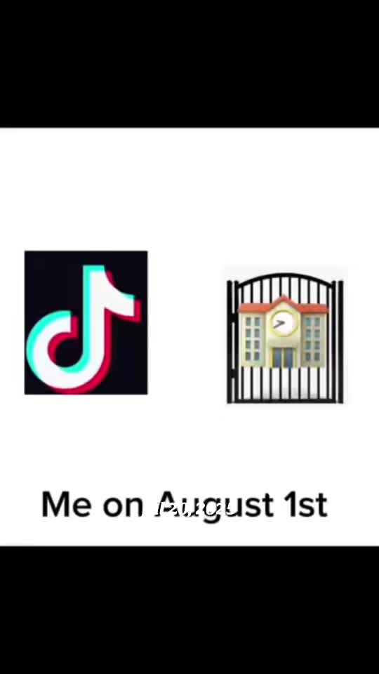 @Daily Memes