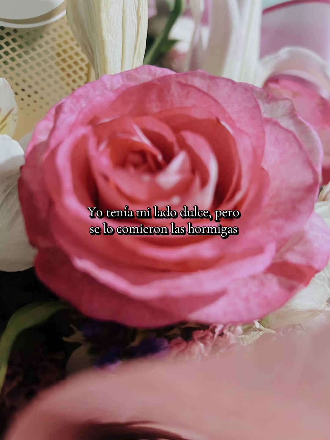 @𝒟𝐼𝐻𝐻