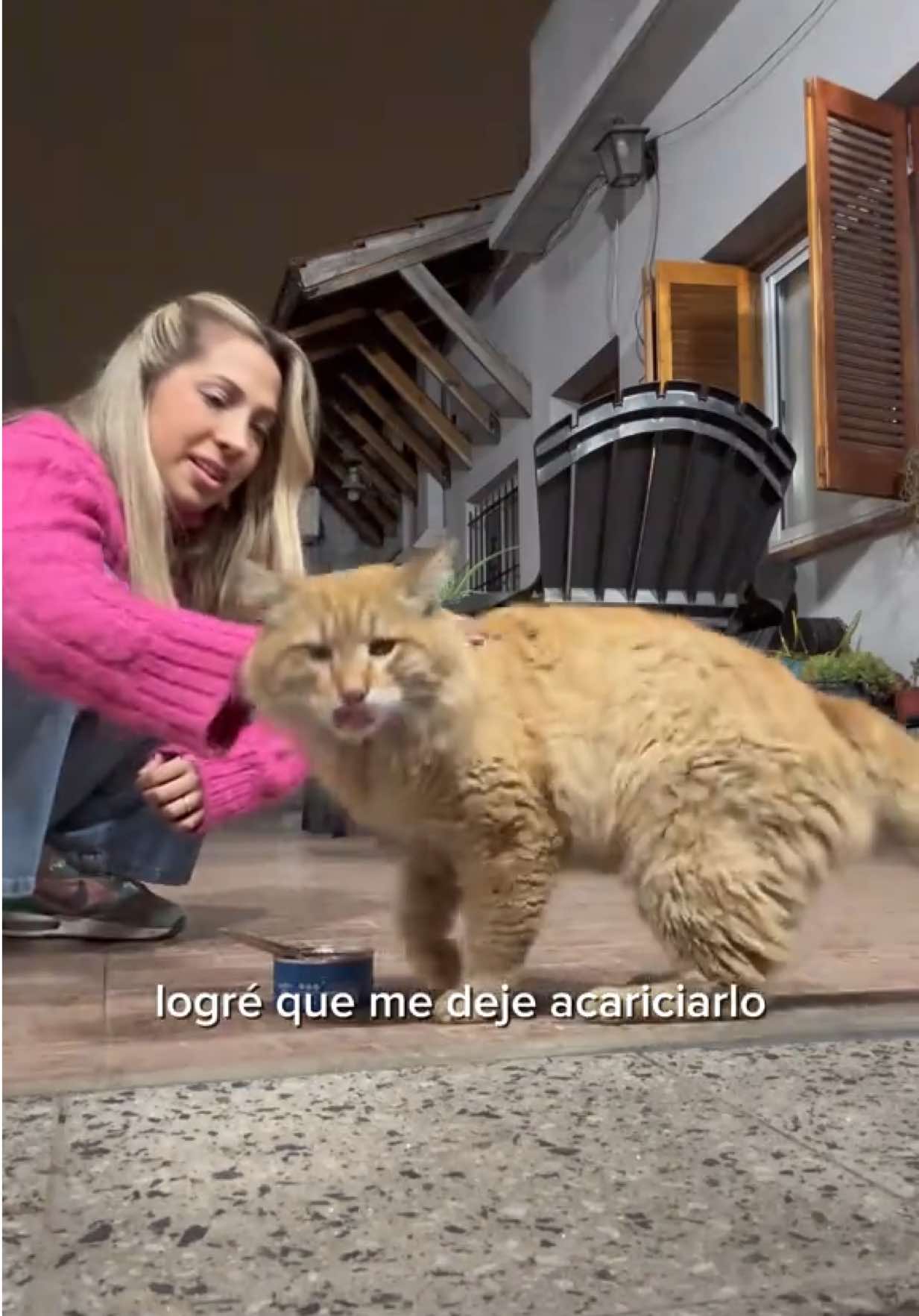 @Lucia Serenaa
