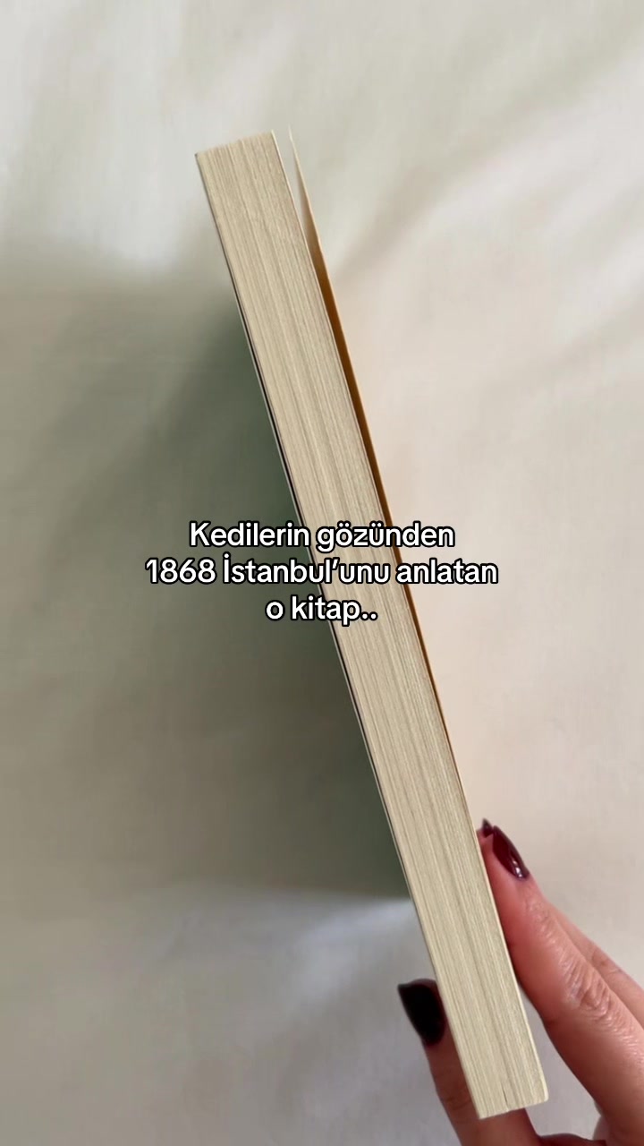 @irem🪭