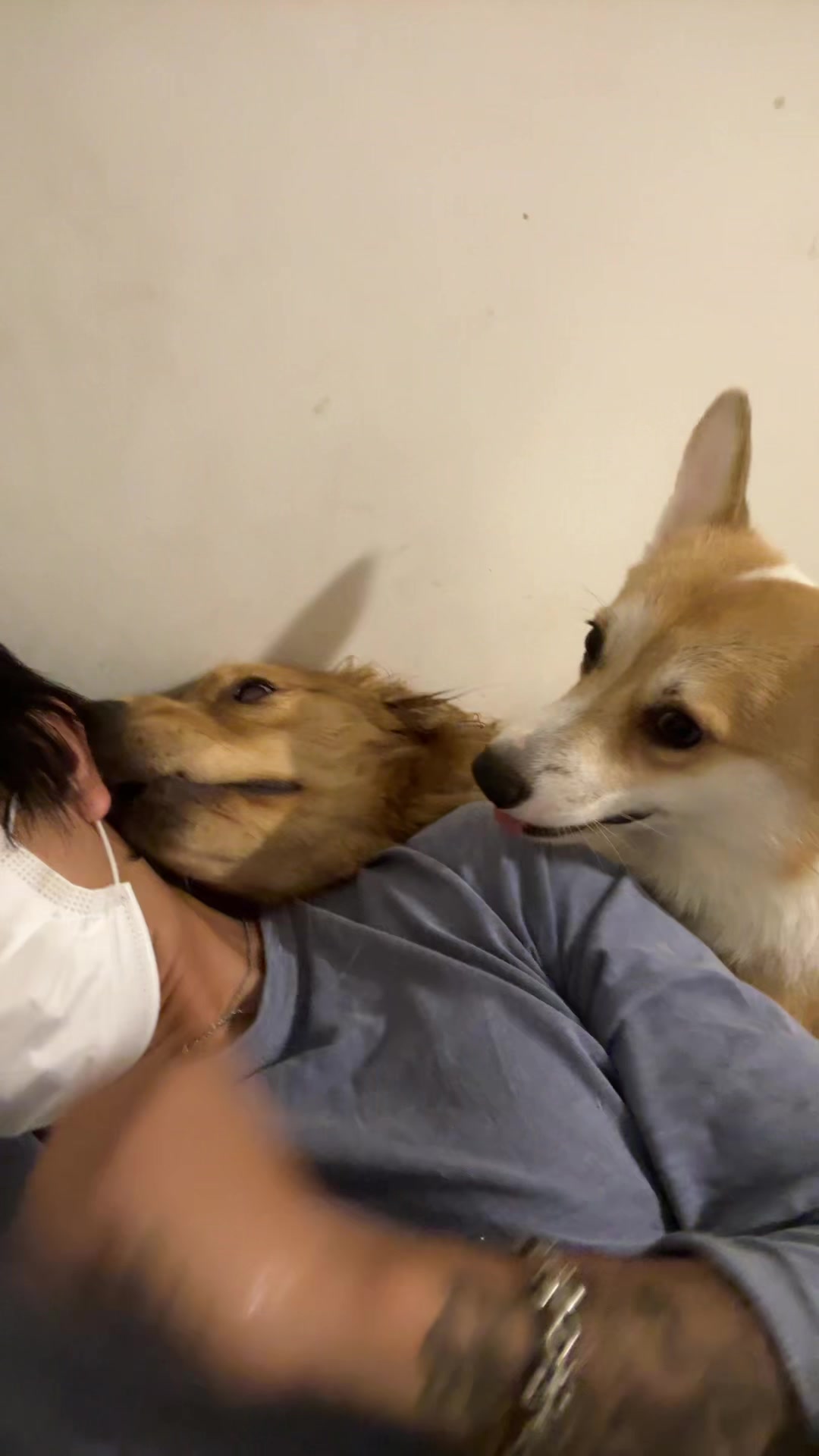 @ซับซัพทรัพทรัพย์🥣
