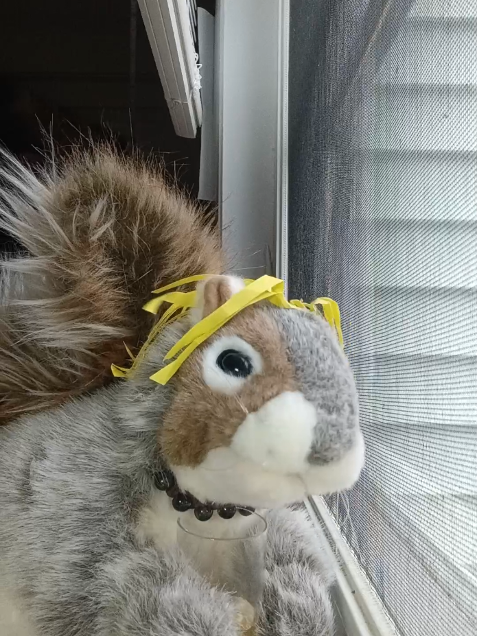 @Charles_TheSquirrel