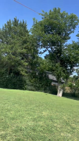 @Live Oak Tree Service