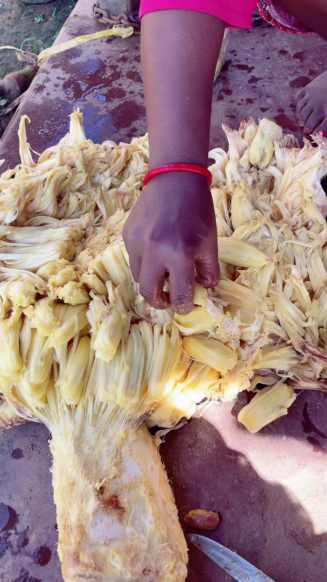 @सानु गोर्खाली 💘🌹🌺