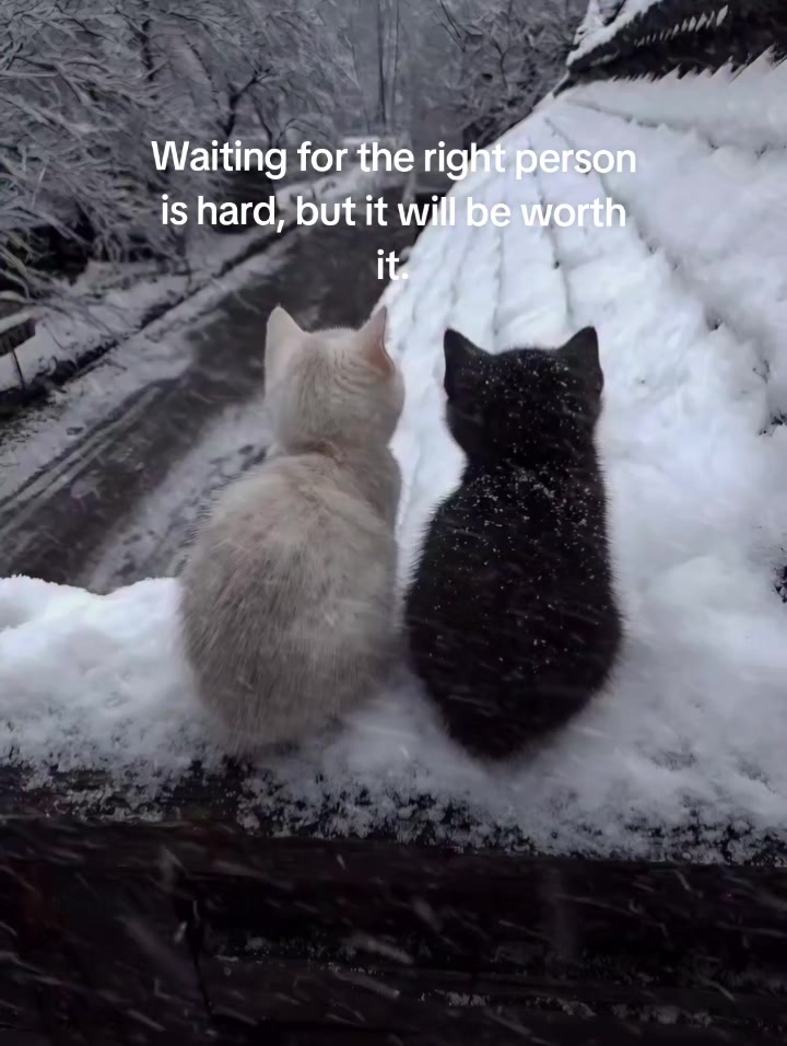 @♱