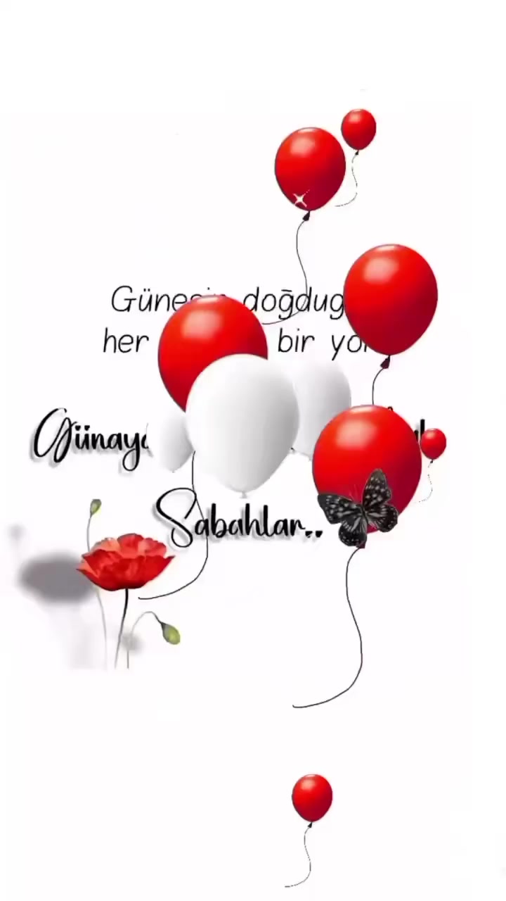 @ismailozdemir677
