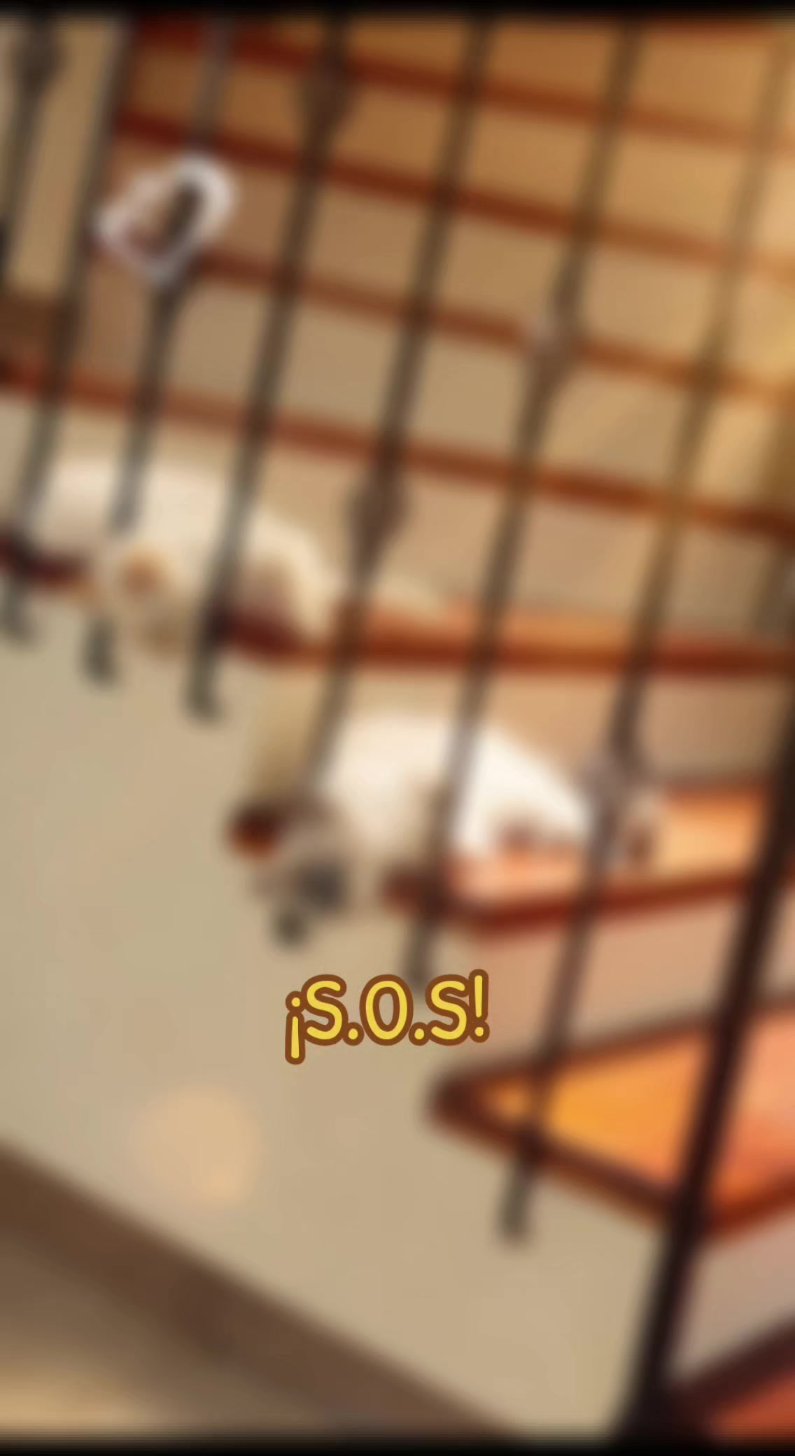 @Erika Rojas
