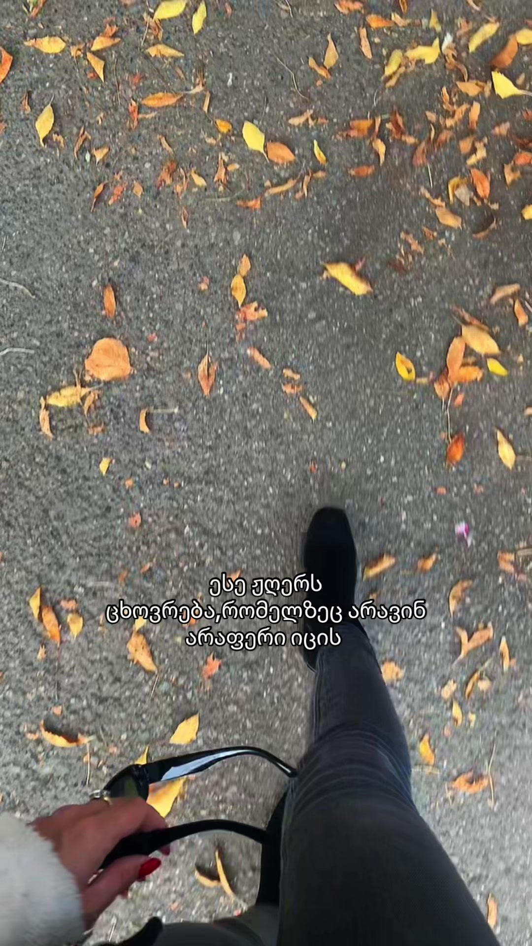 @Lana_ Kolo 🤍🪽