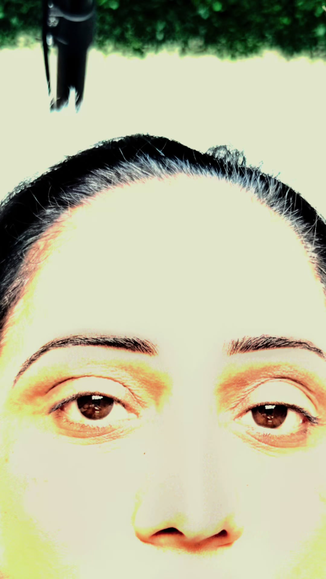 @Brows by Kiran | ombre powder