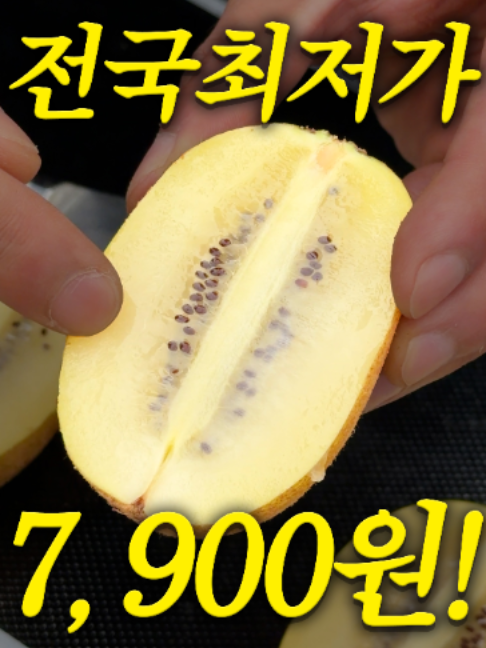 @해운대송사장