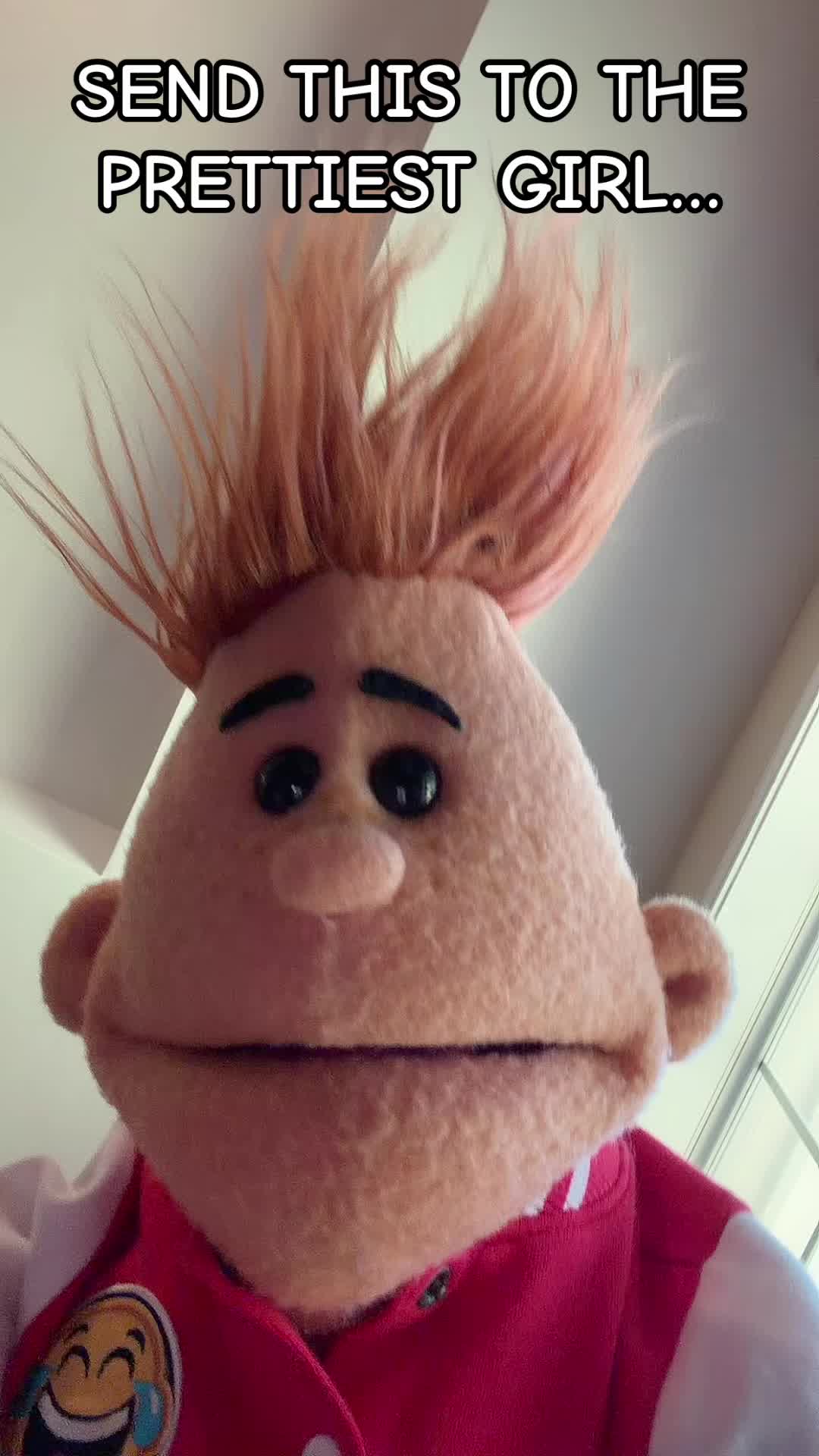 @PuppetTakeover
