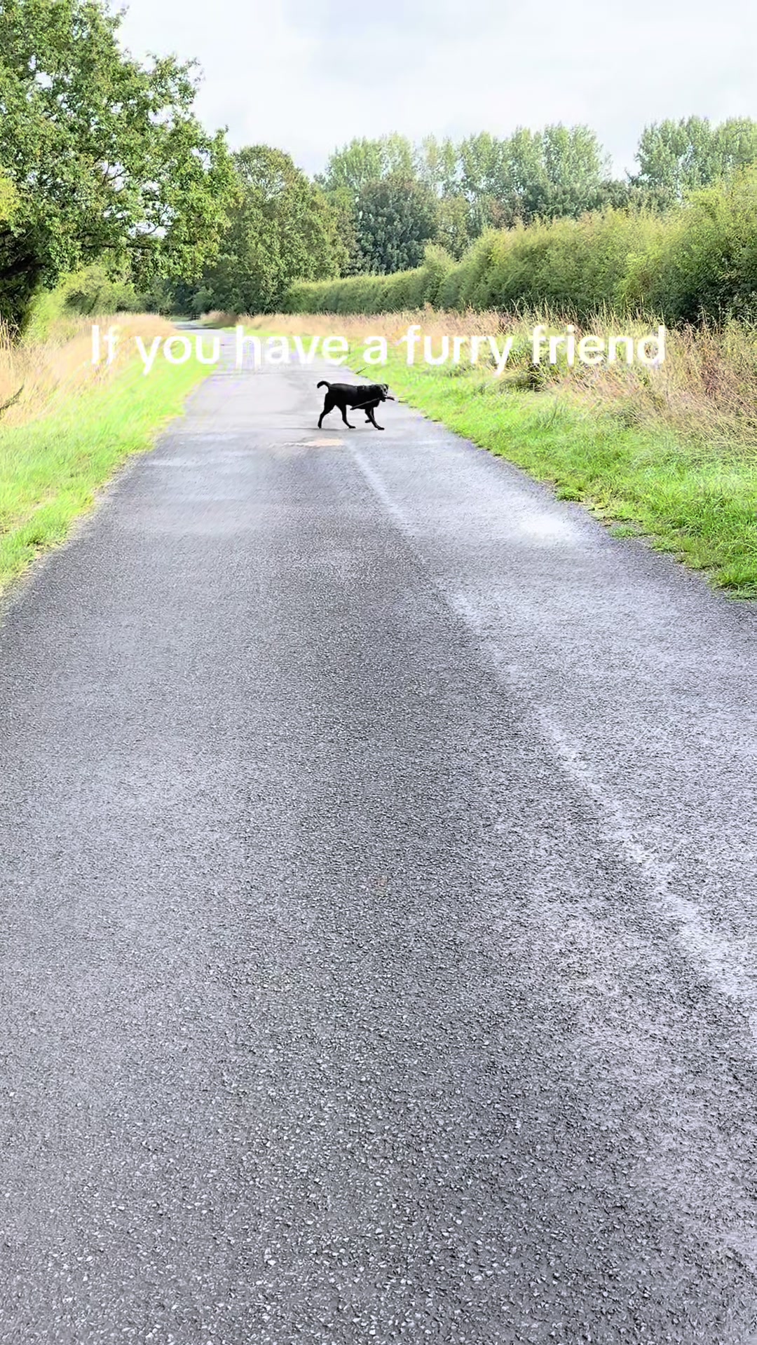 @Becky O&rsquo;Neill Equestrian