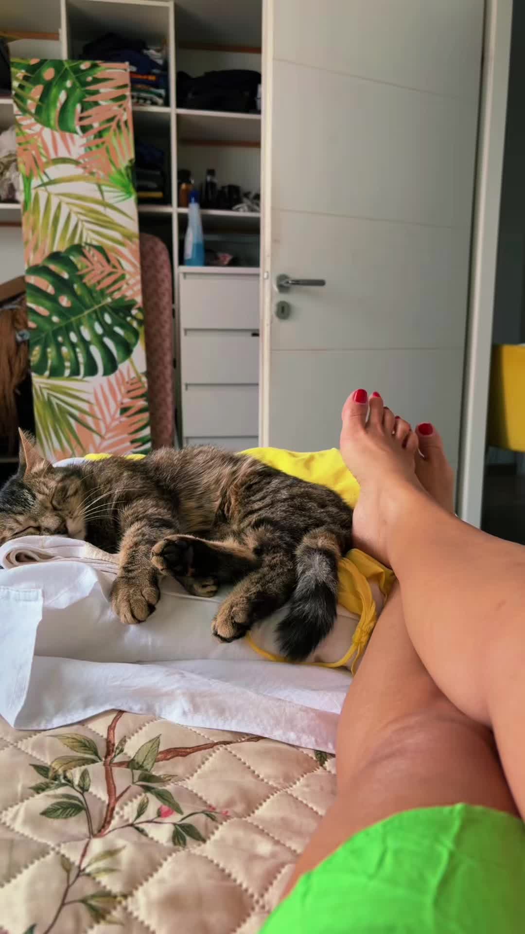 @Jacy🇧🇷☀️