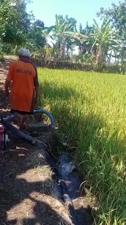 @🇮🇩 caca formoza ♥️🇹🇼