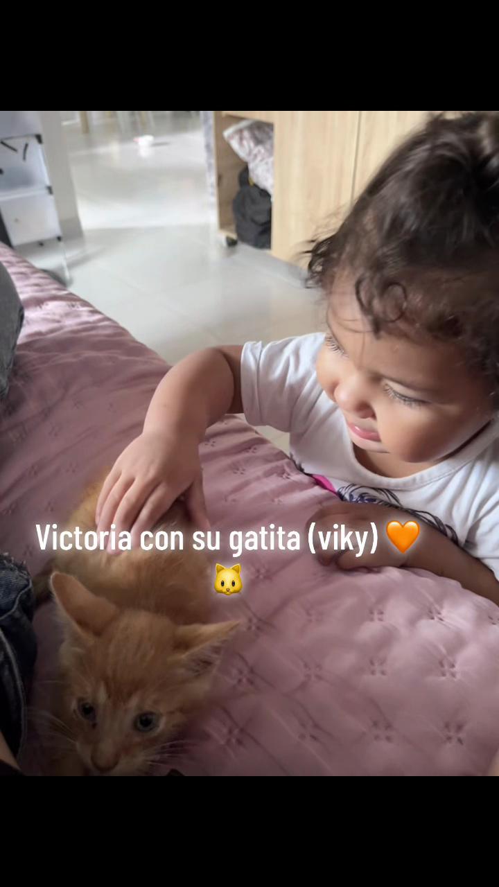 @D A N I E L A ✨🧸✨