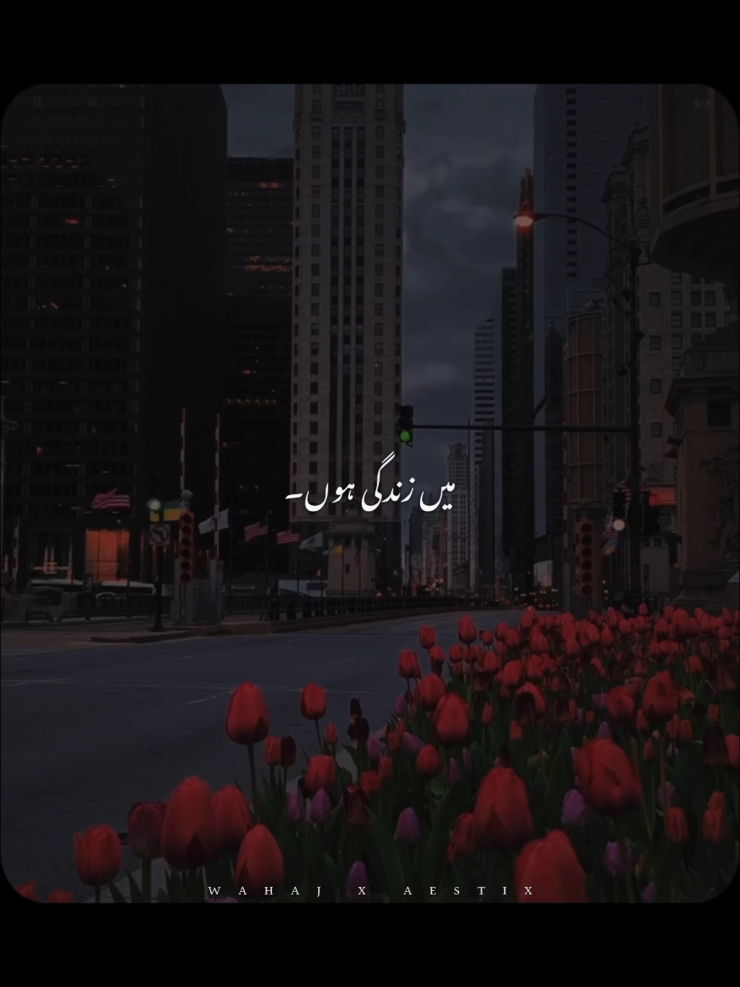 @𝙒 𝘼 𝙃 𝘼 𝙅 🕊️ &bull;