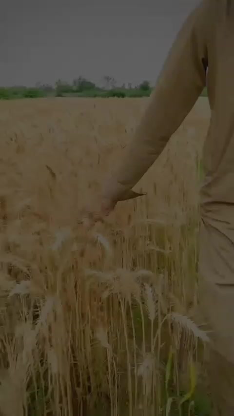 @muneeraslam_0786