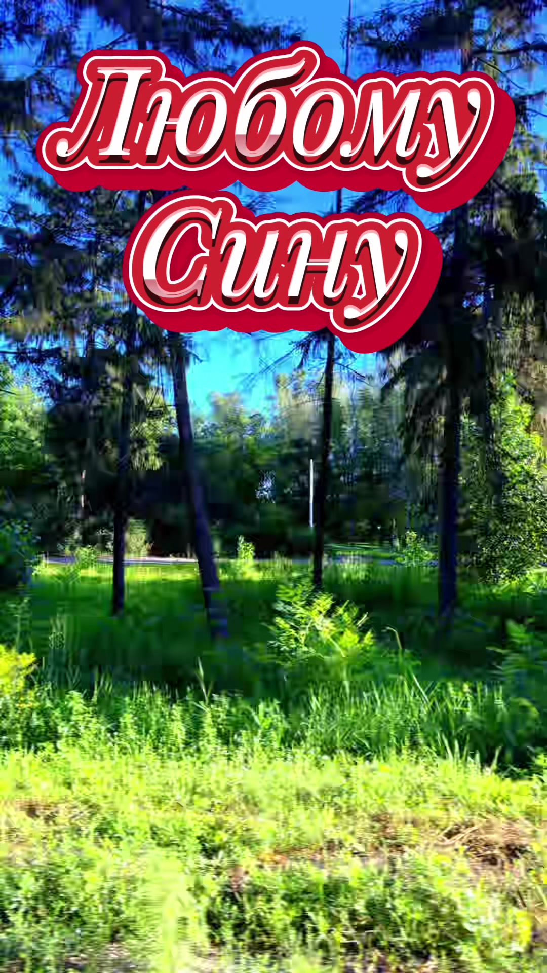 @vadim5614