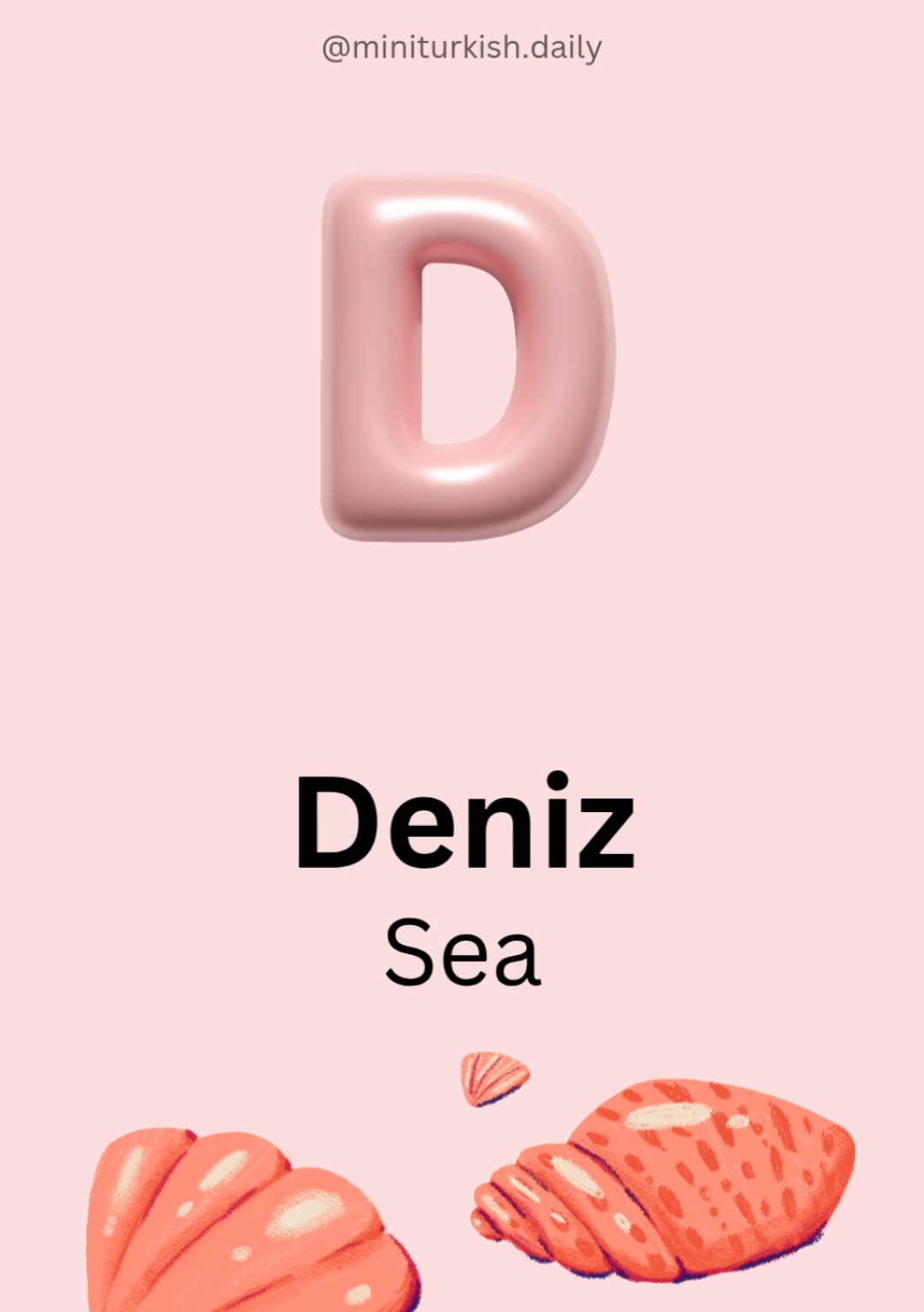 @Mini Turkish